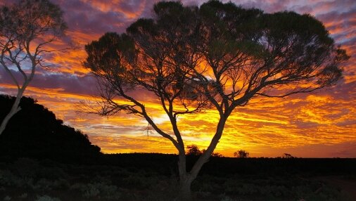 Wild Dog Hill Sunset