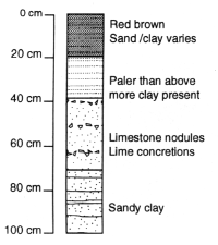 Figure 1 Soil Profile